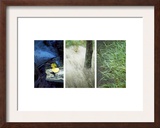 River's Edge Triptych