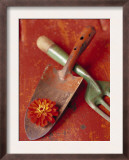 Trowel and Blossom