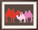 Pink Camel