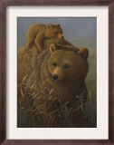 Brown Bear with Cub