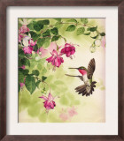 Hummingbird with Flowers