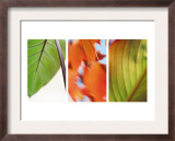 Leaves' Journey Triptych