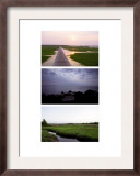 Coastal Streams Triptych