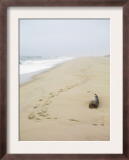 Footprints on Tranquil Beach