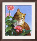 Orange Cat with Zinnia