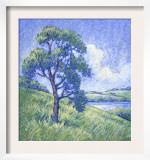 Tree by the Lake