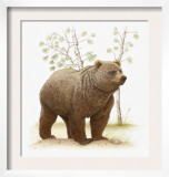 Grizzly Bear on Dirt Mound