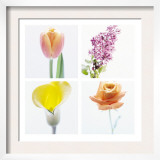 Pastel Stems Four Patch