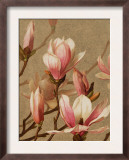 Pink Magnolia
