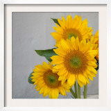 Sunflower Bouquet
