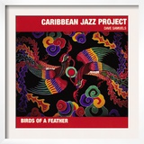 Caribbean Jazz Project - Birds of a Feather