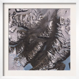 The Mcmurdo Dry Valleys West of Mcmurdo Sound  Antarctica