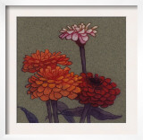 Zinnia Flower