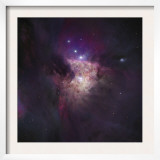 Center of the Orion Nebula (The Trapezium Cluster)