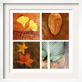 Leaves Arrangement Four Patch