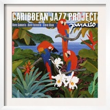 Caribbean Jazz Project - Paraiso