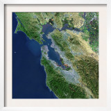 San Francisco  California  Satellite View