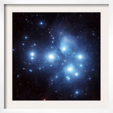 Pleiades Star Cluster