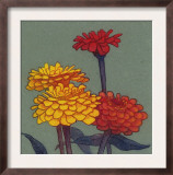 Zinnia Flower