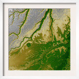 Bolivian Amazon