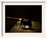 Pakistani Boy Pushes a Cart Along the Main Street in Rawalpindi  Pakistan