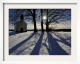 Trees Cast their Shadows Next to the Chapel Near Feldkirchen  Southern Germany
