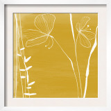 Ocher Stems