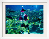 Diver Dressed as Santa Claus Feeds Fish as Part of Christmas Celebrations  Aquarium in Kuala Lumpur