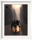 Horse Drawn Cart Makes its Way Toward the Center of the City on a Cold Morning in Srinagar  India