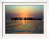 Fishermen Demonstrate Off the Coast of the Village of Malkiya  Bahrain  at Sunset