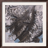 The Mcmurdo Dry Valleys West of Mcmurdo Sound  Antarctica