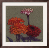 Zinnia Flower