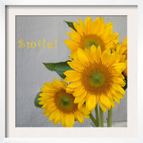 Smile: Sunflower Bouquet