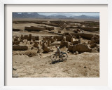 An Afghan Youth Rides His Bycicle by Houses