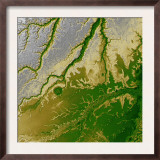 Bolivian Amazon
