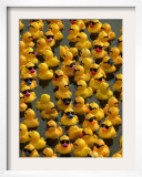 The Make-A-Wish Foundation Releases Rubber Ducks into the Ocean