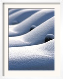 Snow Covered Cars