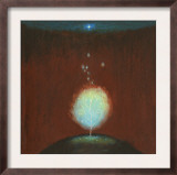 Burning Bush under Star