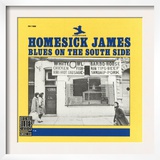 Homesick James - Blues on the South Side