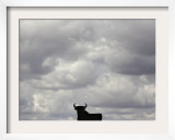 A Bull  Ciudad Real  Spain