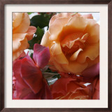 Rose Bouquet Close Up II