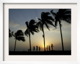 Village Boy Climbs a Coconut Tree as Others Wait Below on the Outskirts of Bhubaneshwar  India