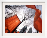 "The Gates" are Shown in Central Park in New York with Flowing Fabric the Color of a Sunrise