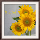 Smile: Sunflower Bouquet