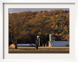 Fall Colors and a Field of Dried Soybeans in Pleasant Gap  Pennsylvania  October 20  2006