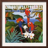 Caribbean Jazz Project - Paraiso