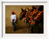 An Assistant of the Spanish Rejoneador Mounted Bullfighter Pablo Hermoso