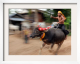 A Cambodian Boy Rides on His Buffalo Through a Village