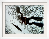 A Diver in a Santa Clause Costume Feeds Fish as Part of a Christmas Event