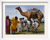 Pakistan Folk Dancers Perform; Owner Sits with His Camel  Annual Festival Horse and Cattle Show